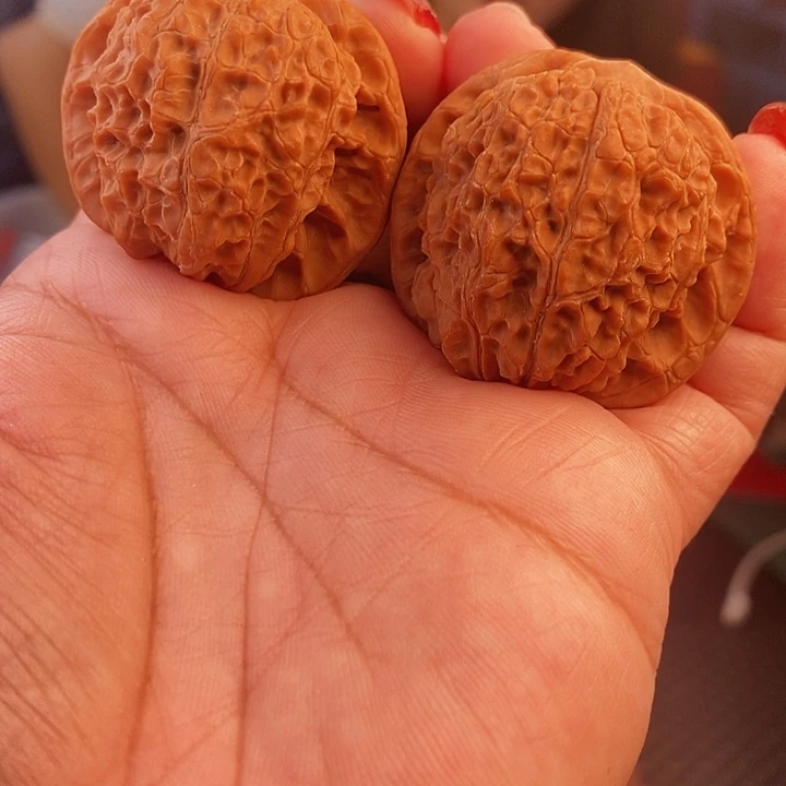 把件文玩核桃血麒麟40