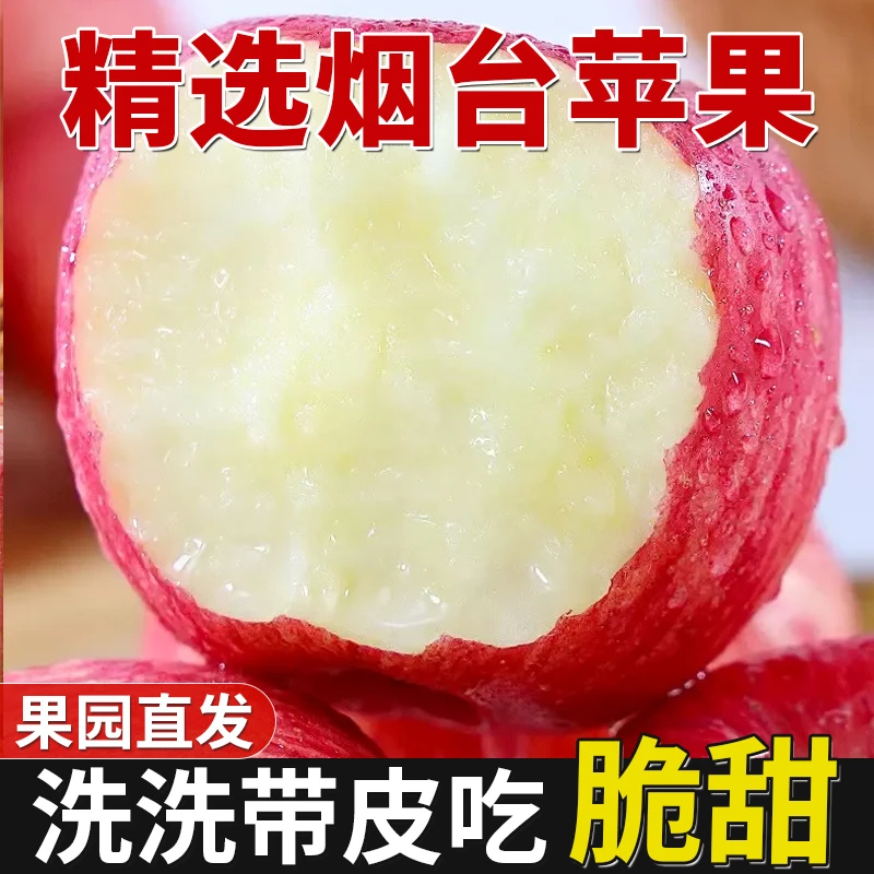 正宗产地烟台红富士苹果新鲜现摘脆甜多汁当季水果带皮吃脆甜