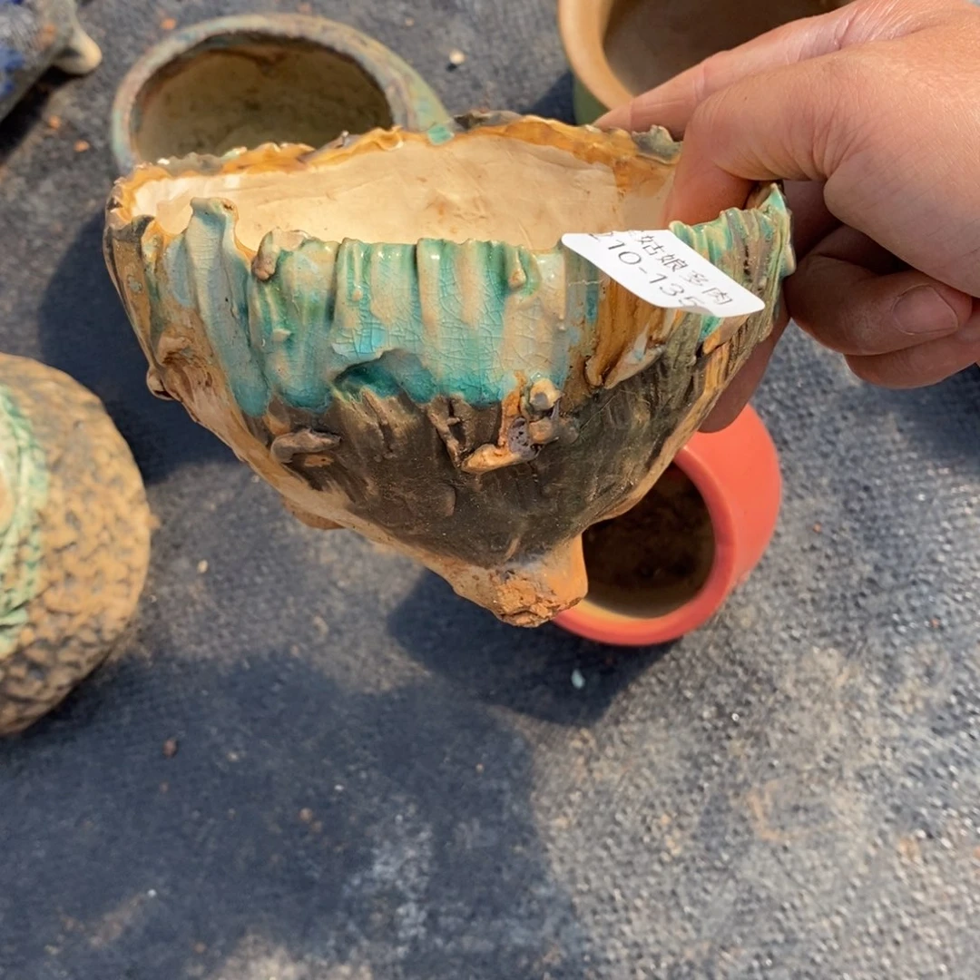 红陶༻****༺135号多肉盆一个呀