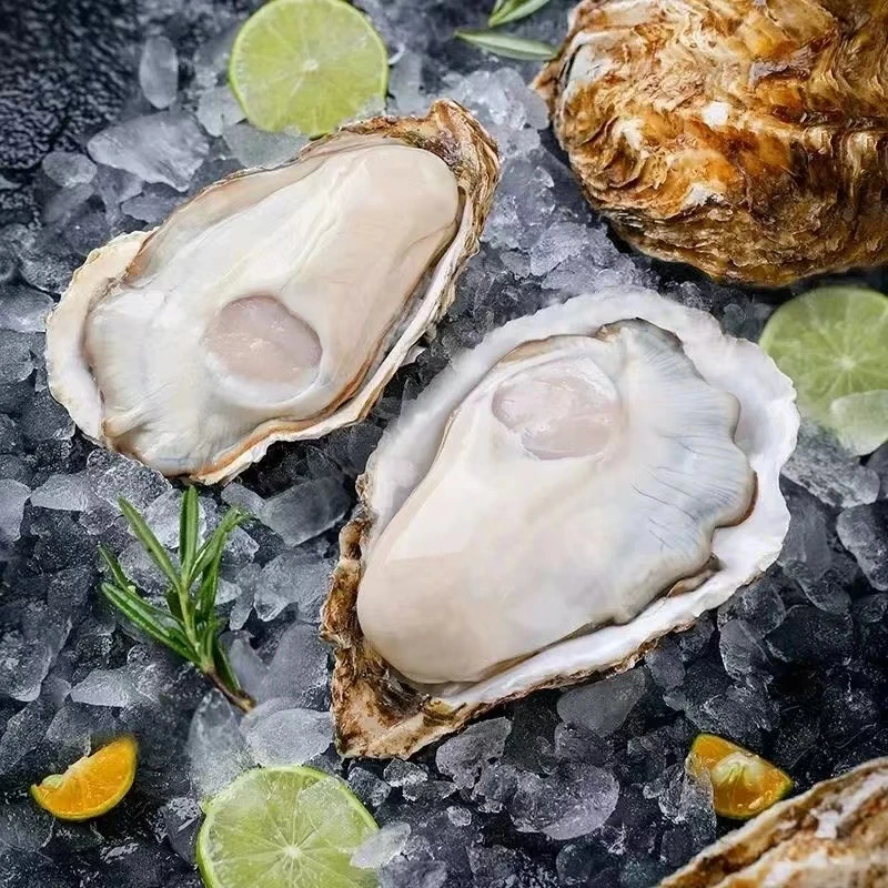 现剥大大号生蚝肉250克/盒海鲜到手8盒每盒2-4只左右