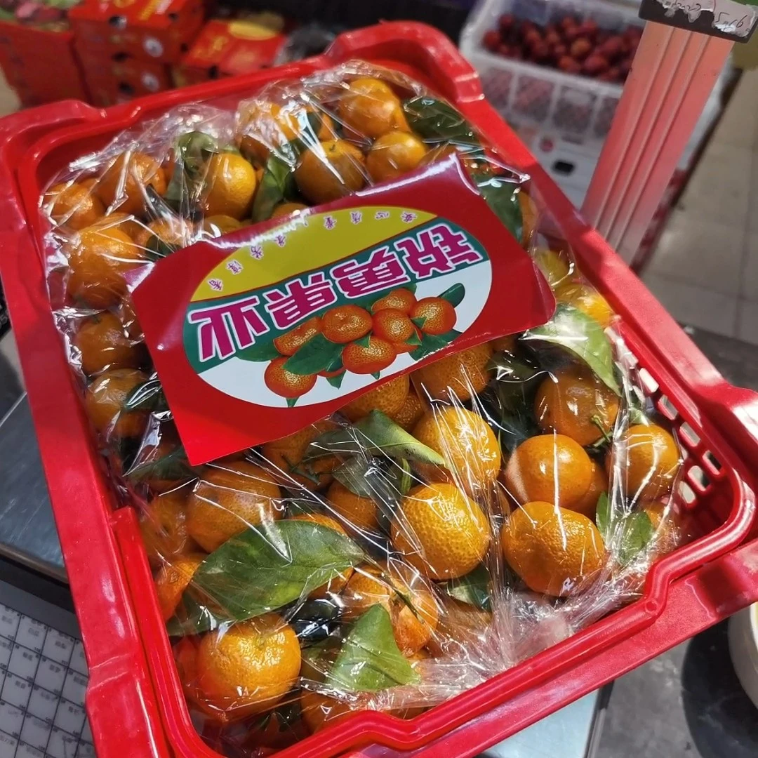 正宗沙糖桔，毛重6斤左右