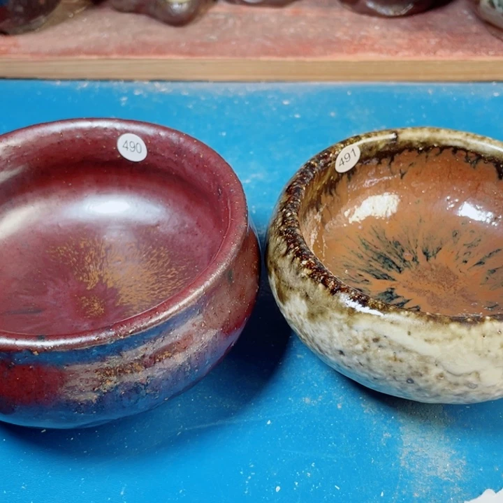 茶宠盏盏都是我的爱啊打