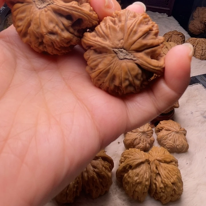 一**景核桃核桃核桃核桃核桃