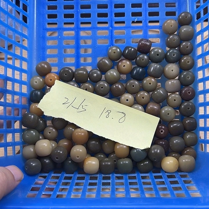 吊坠菩提根/象牙果