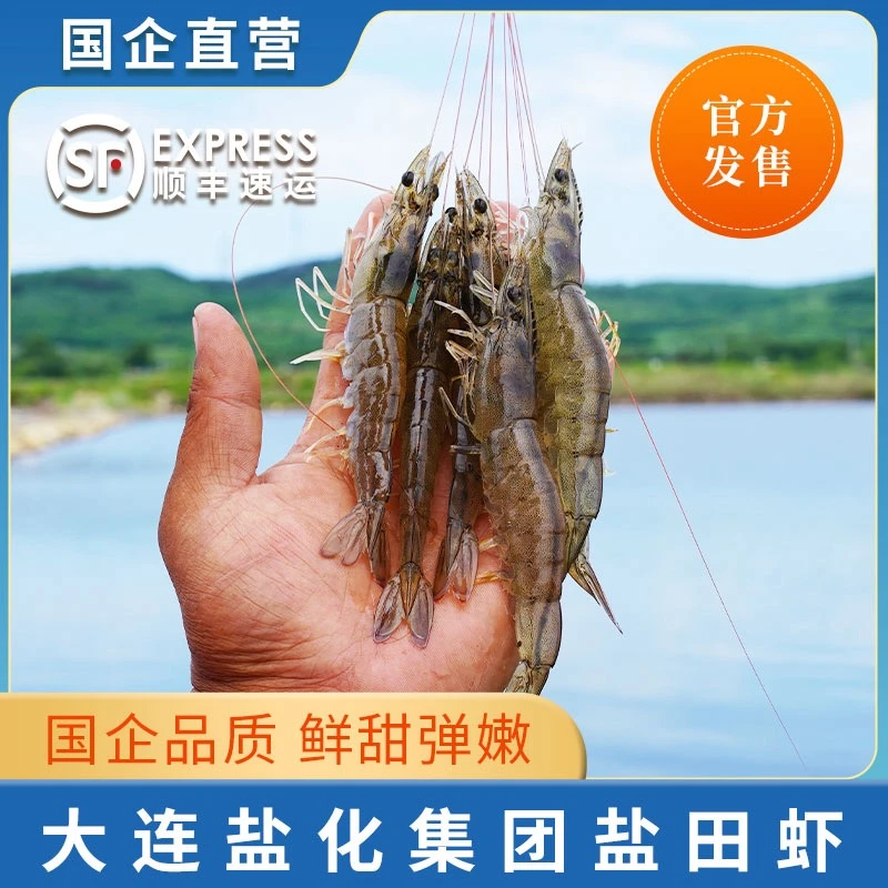【长建专属】3斤盐田虾(平均20-25只/斤)【有大有小】嫌小勿拍复州湾