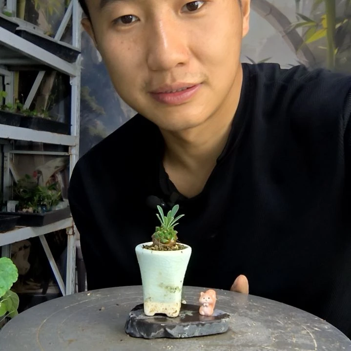 李*汉中青园艺一物一拍279