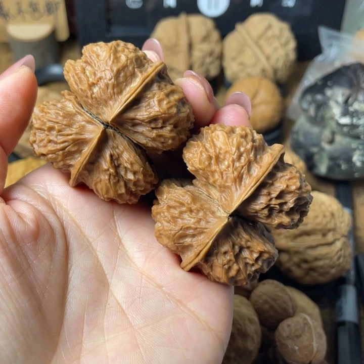 李****如图所示一物一拍96