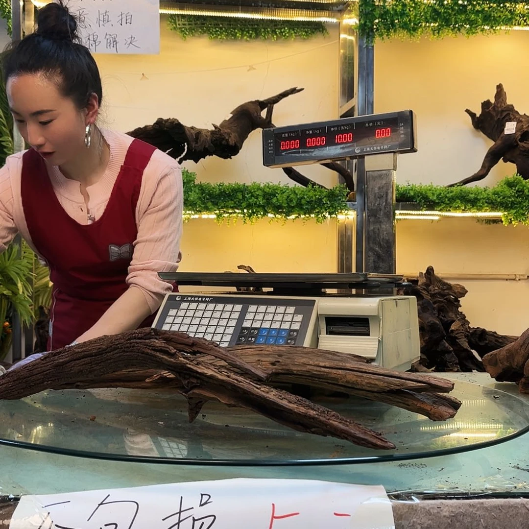 柚木晚****I沉木鱼缸造景