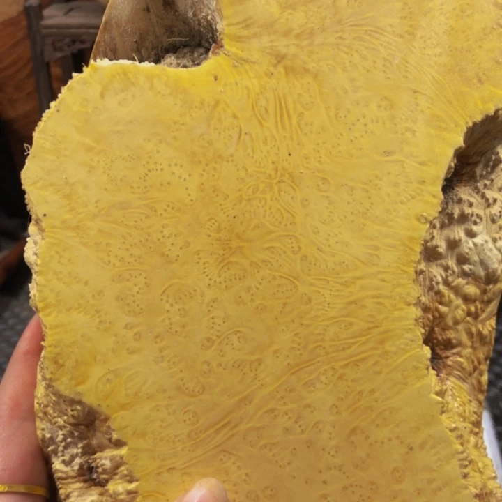 木渔***亚木料木料木料木料