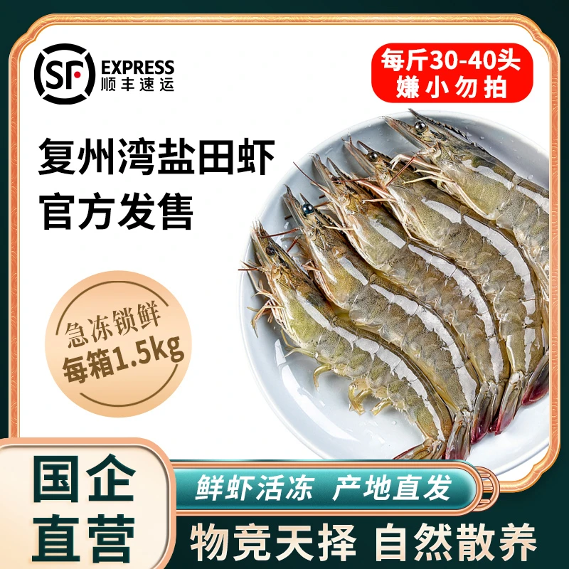 【大连盐业活虾速冻】国企直营正宗大连复洲湾盐田虾约30-40头/每斤