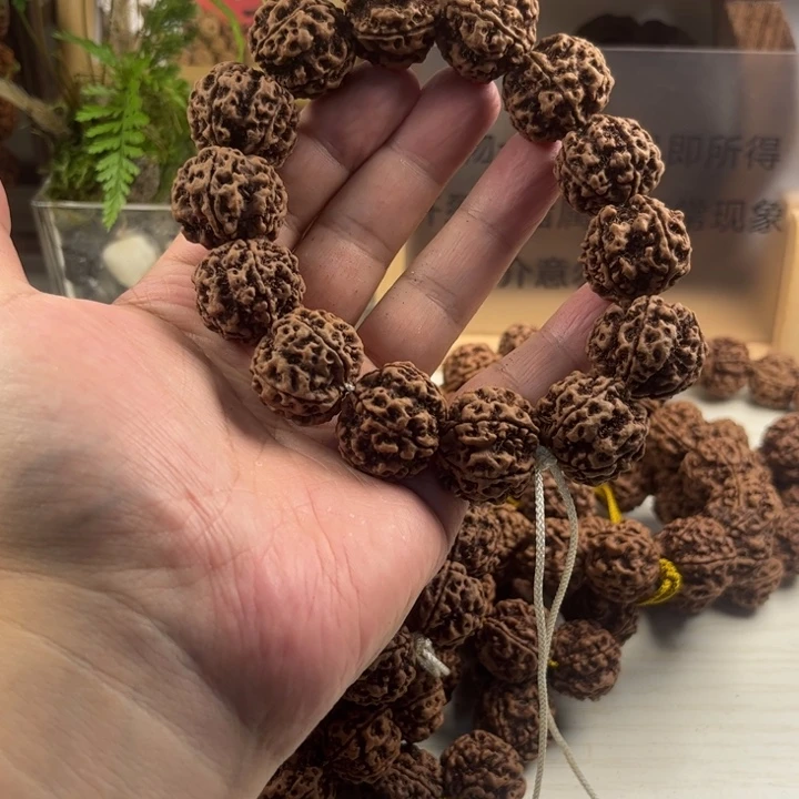 手串金刚菩提小*?24粗筋梅花双龙原生态