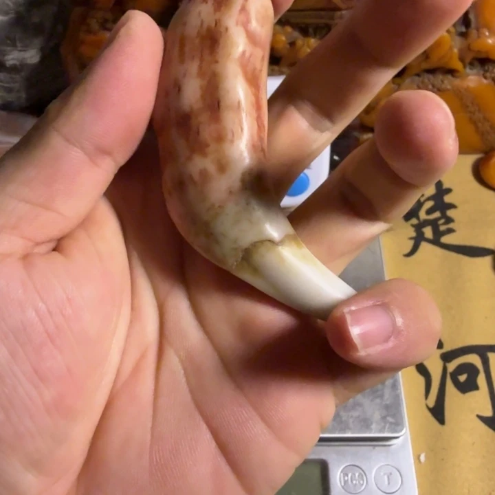 珍藏收藏专拍链接