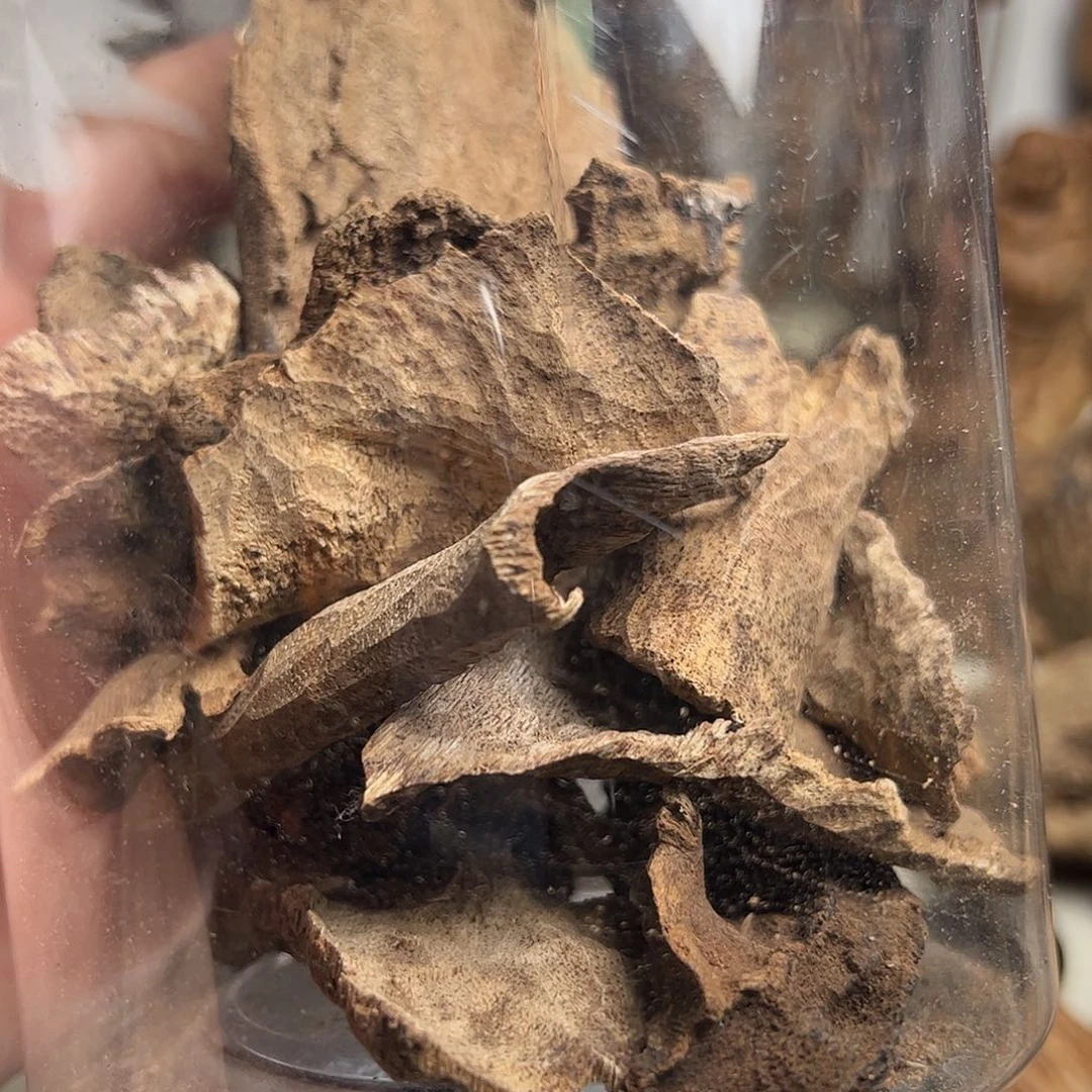 沉香沉香碎屑柬埔寨沉香壳子46克