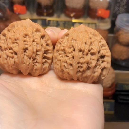 野生小众：佛肚全品