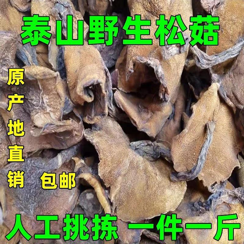 新鲜特级松蘑菇野生干品泰山蛾子龙廷山松娥子包邮特产