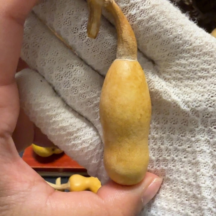 p***王6………………………………………………