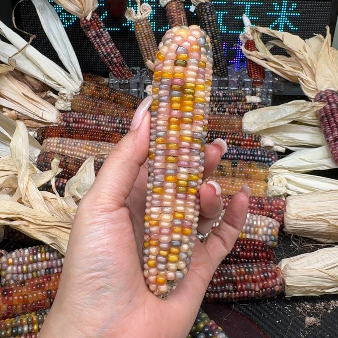 柏香籽/百香籽吊坠一****?