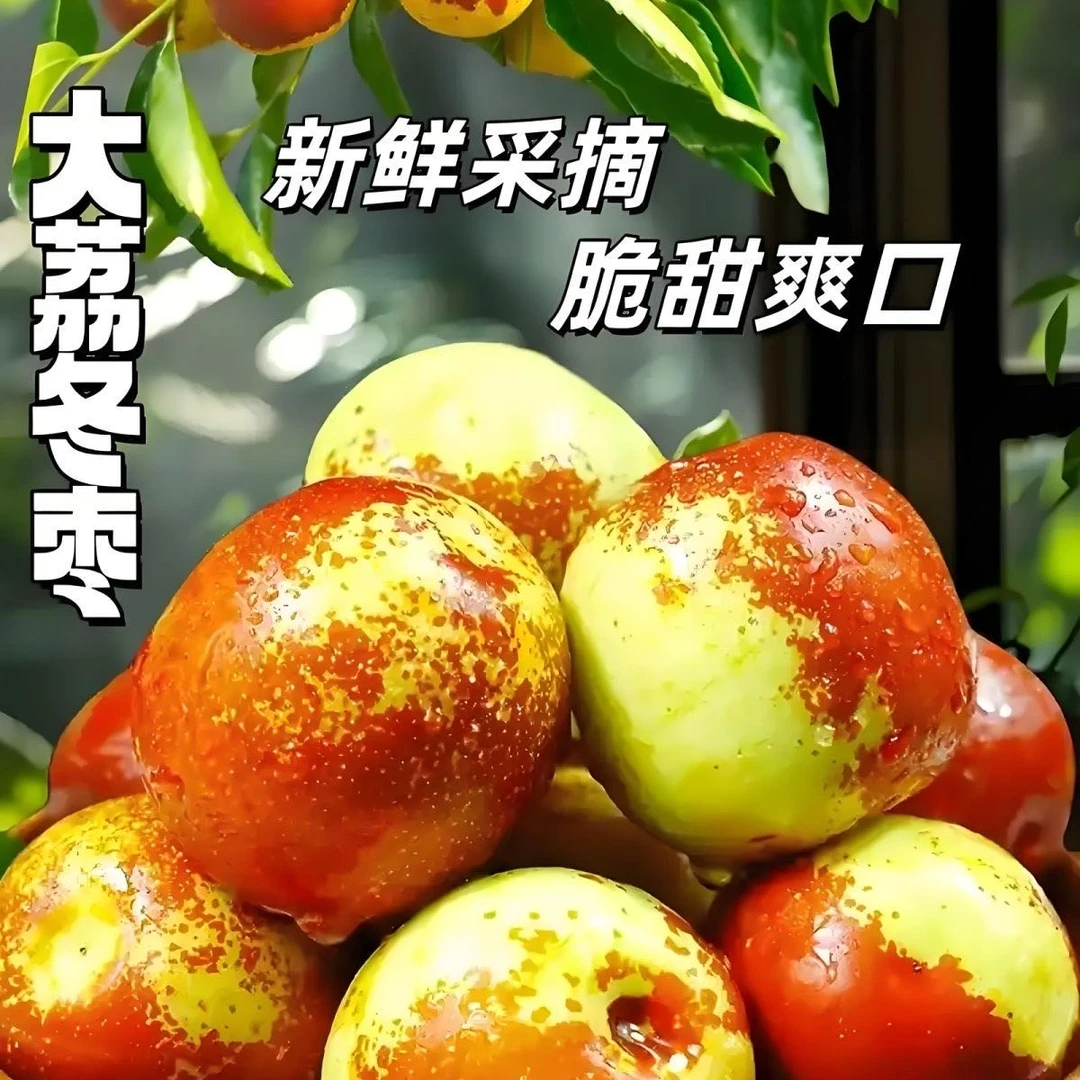 陕西大荔正宗现摘冬枣新鲜应季脆甜多汁水果