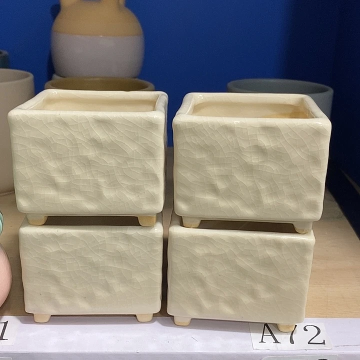 花盆抢购清货马上开始