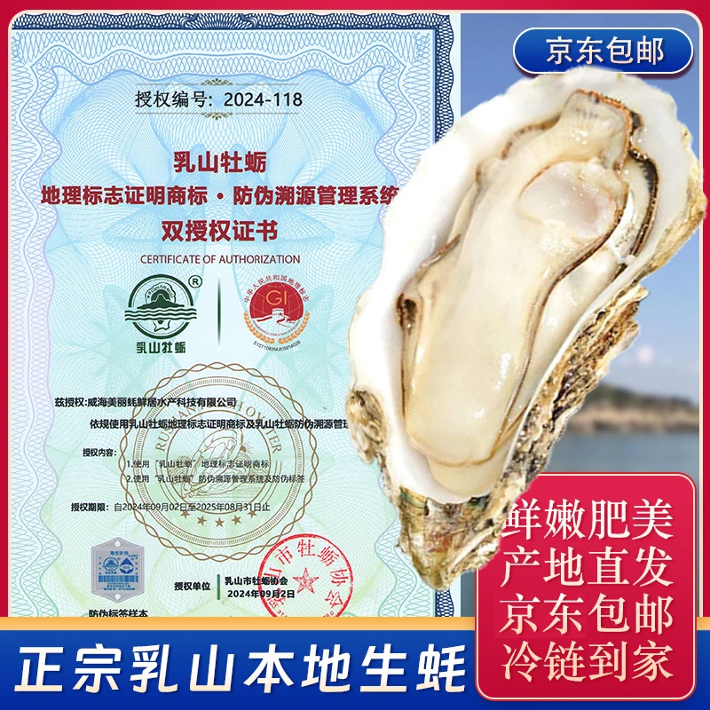 正宗乳山生蚝5斤装原产地现捞现发京东包邮新鲜美味鲜活生蚝