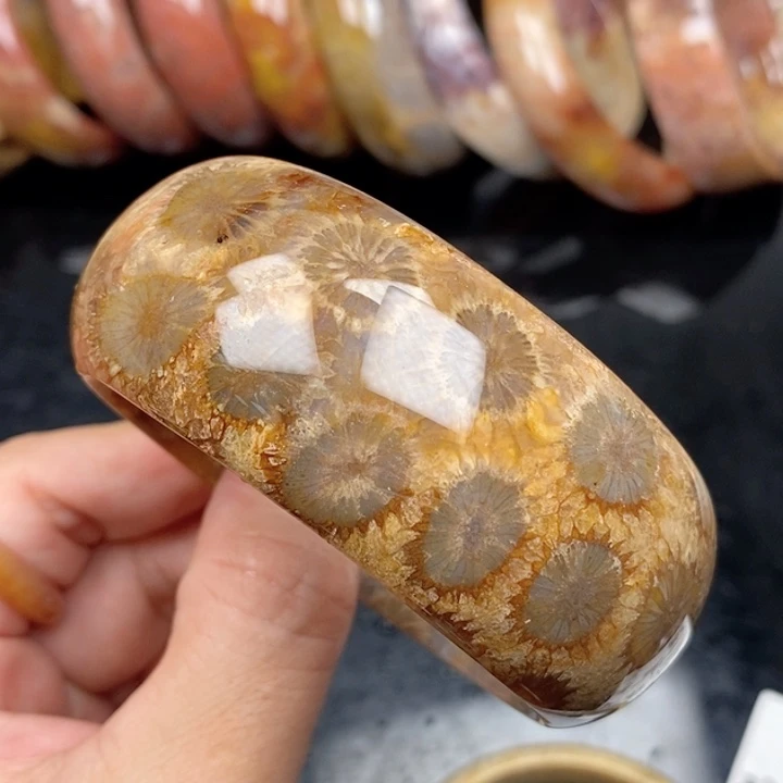 硅化珊瑚（珊瑚玉）手镯未镶嵌蔷*