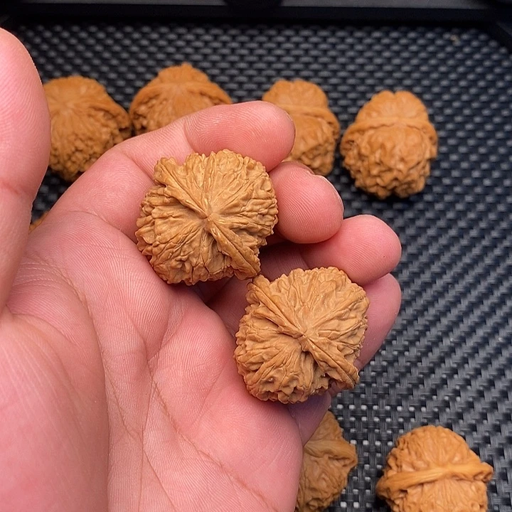 文玩核桃把件全品白狮子36尺放漏