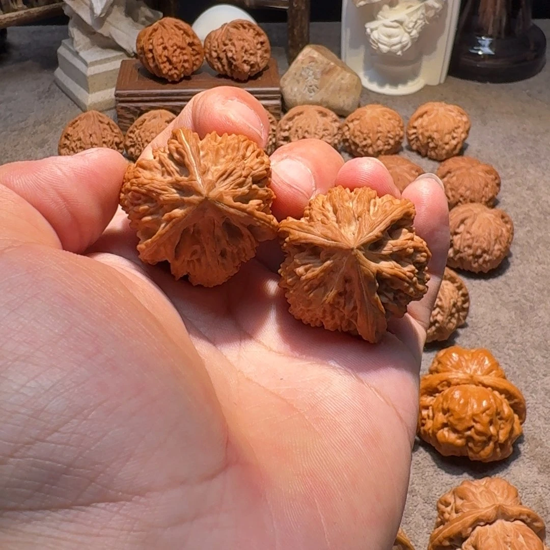 手串/手链核桃刘*美37全品文山正奔
