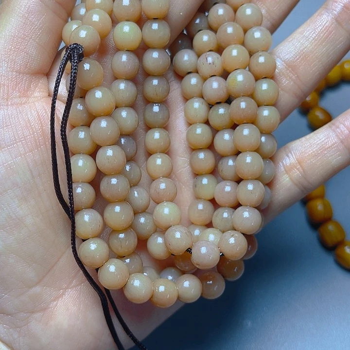 大果紫檀（缅甸花梨）