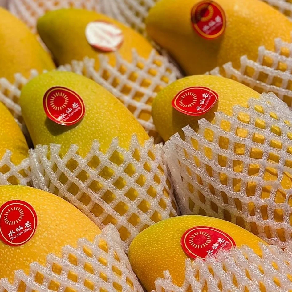 水仙芒（2枚）g