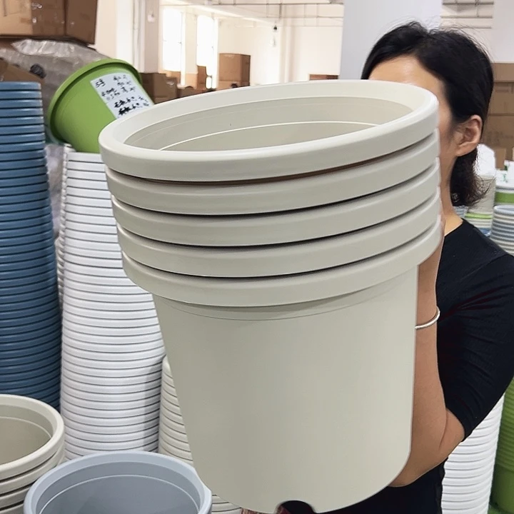 特价6号口32.5高28米色五只无托