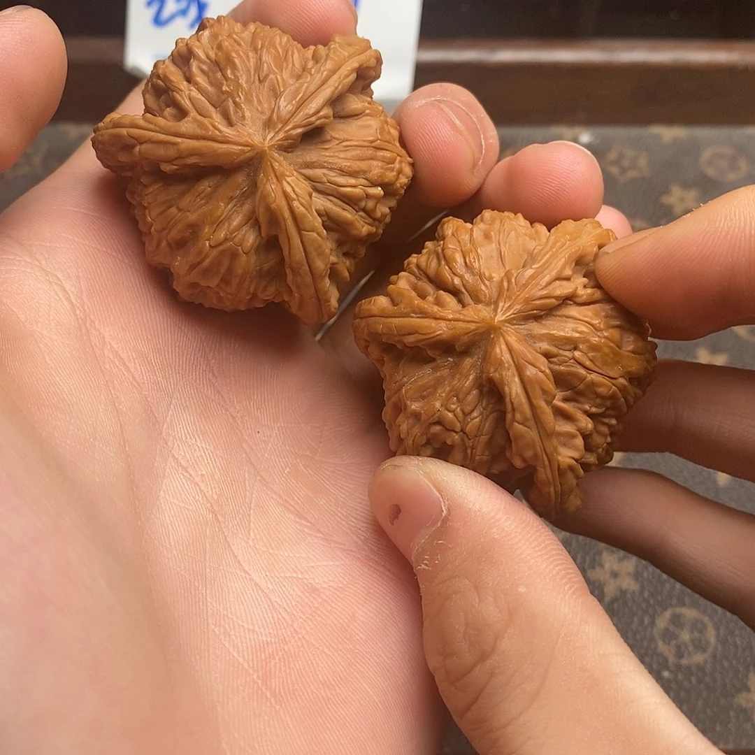 舟*耶白狮子11111111111