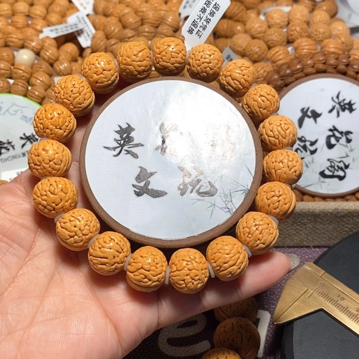 秋****乐6号连接，铁扇公主