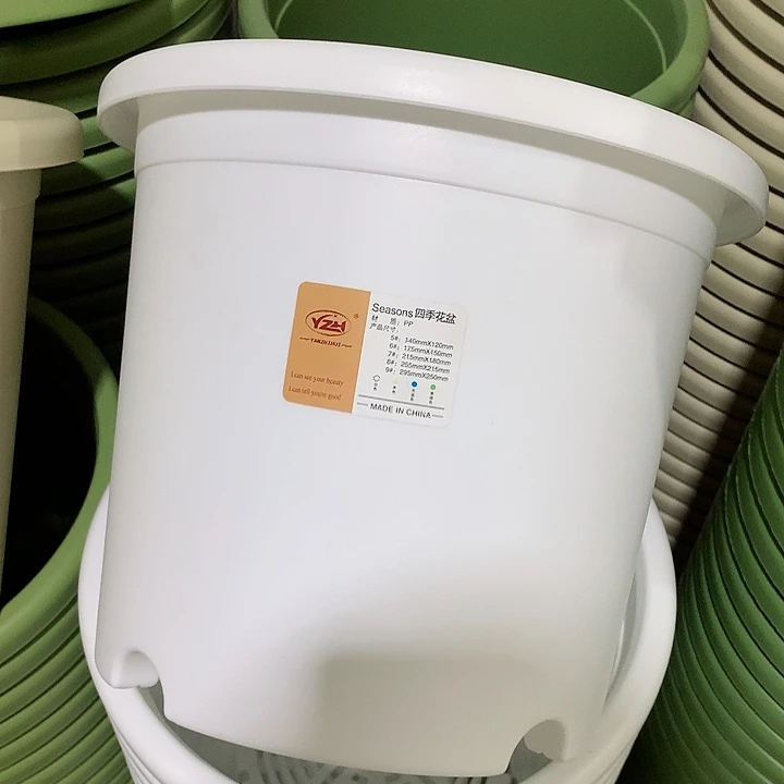 四季口29白5个无托