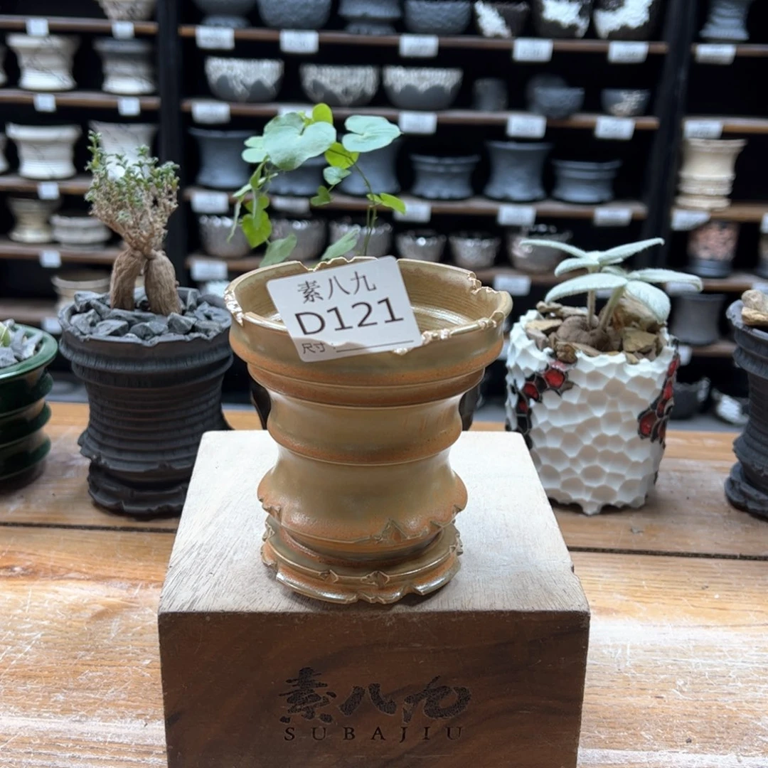 素八九陶瓷内口9高10.5