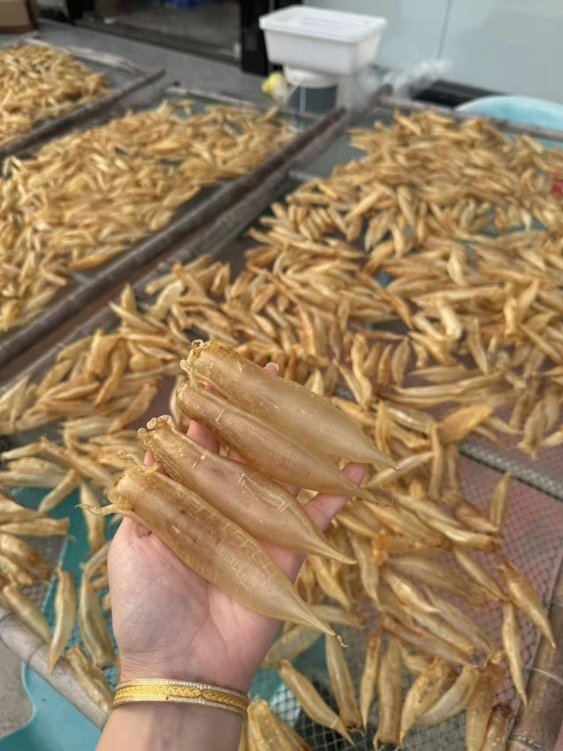 潮汕 惠来神泉 永太海产品 本港金龙筒胶 250g-500g