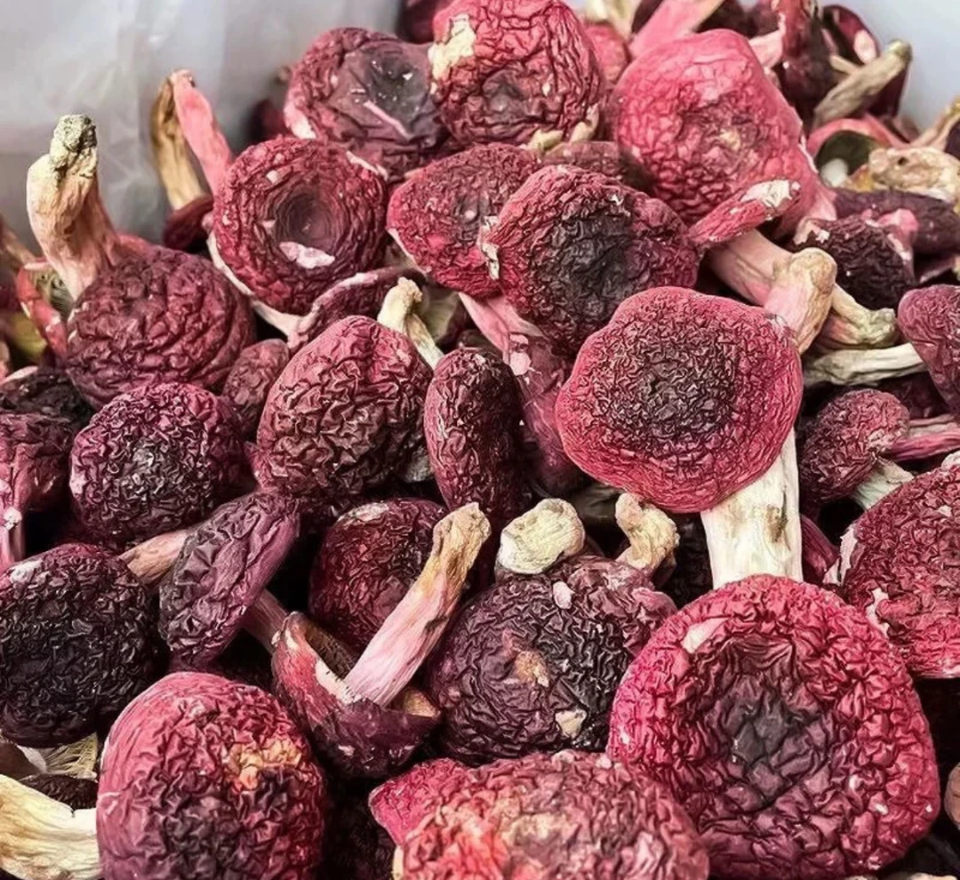 (粒嫂专属）红菇今年新货高山红菇煲汤月子菇半斤一桶