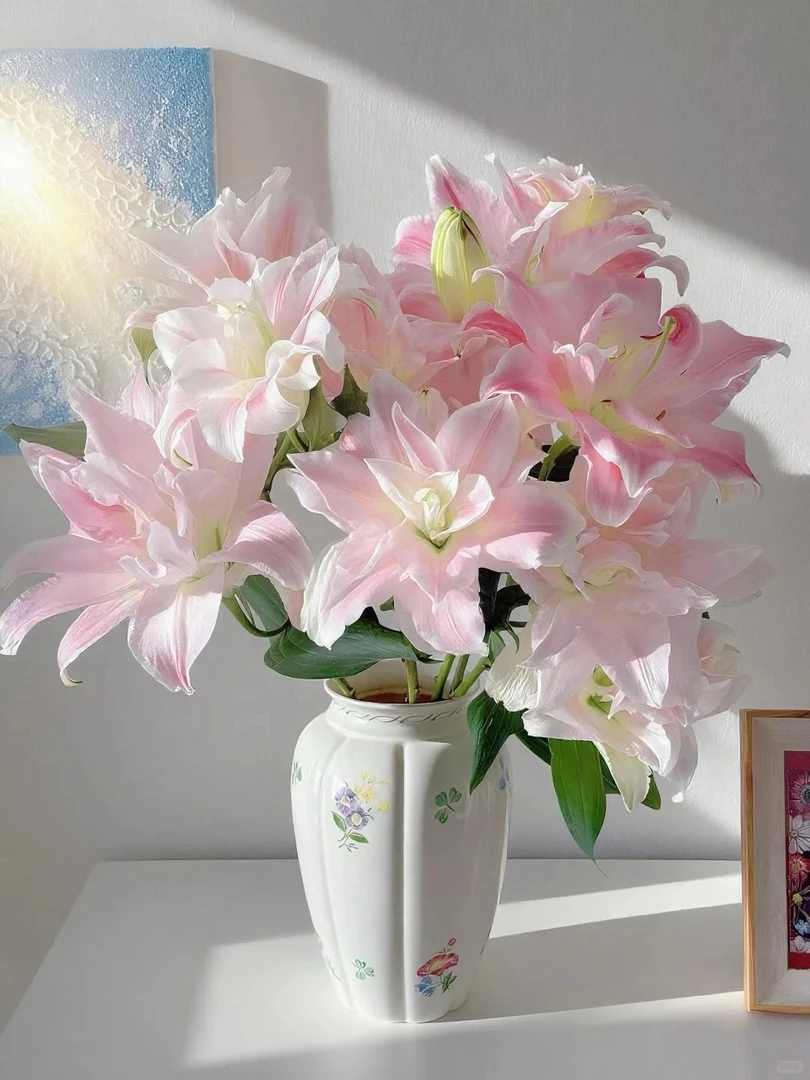 【源头优选】莲花春天重瓣百合云南直发鲜花家居水养插花鲜切花