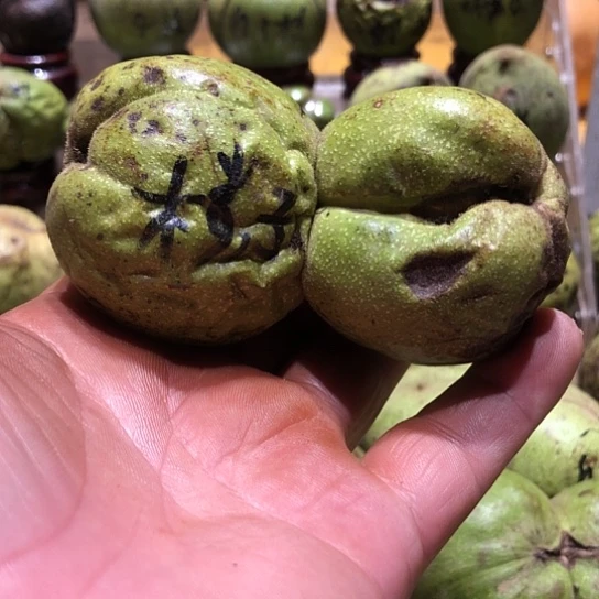 吊坠桃核核桃核桃