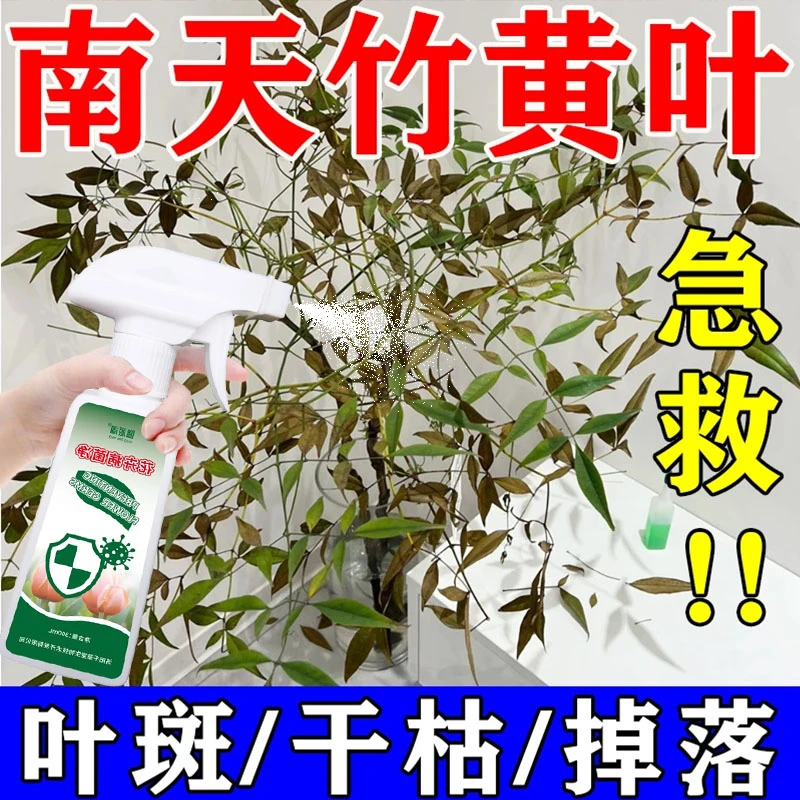 南天竹专用肥南天竹叶绿素水培专用净化水质生根促长急救黄叶落叶