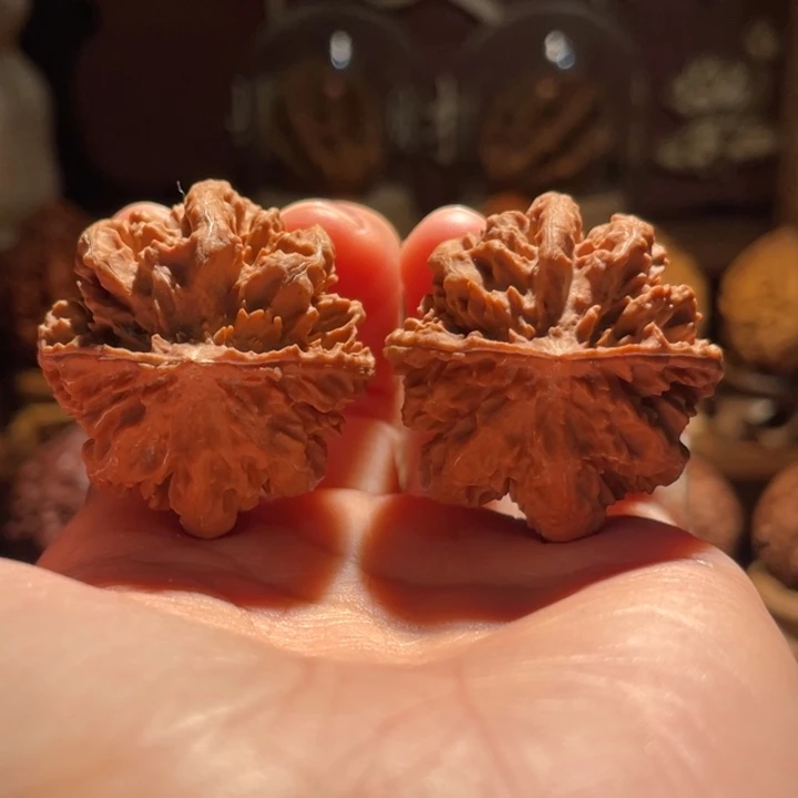吊坠文玩核桃用*金钱龙珠36