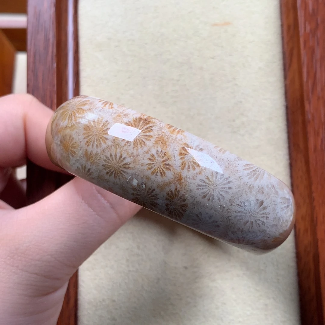 未镶嵌双十一85折，55圈口漏100/个。10硅化珊瑚（珊瑚