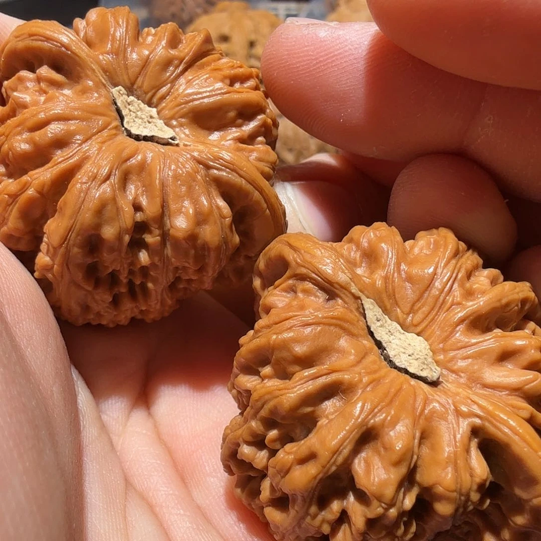 文玩核桃吊坠承德秘闻