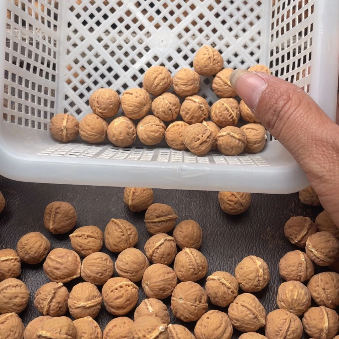 【闪购商品】核桃其他私人定制，不退不换50米打孔