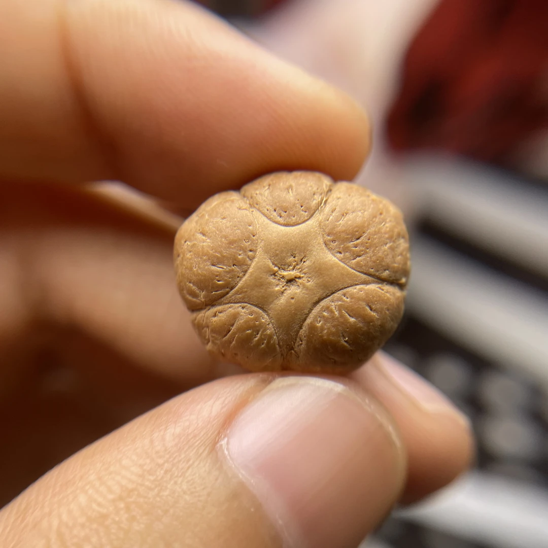 特价【N25】2025年尼泊尔凤眼五星上将 三通 一物一图 打孔不退不换