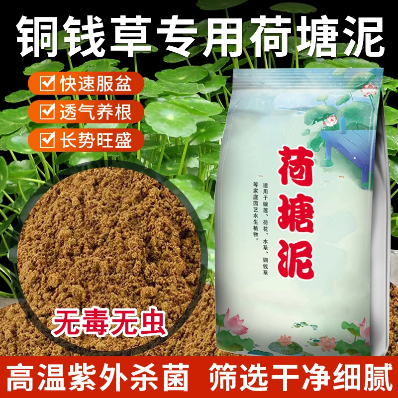 天然荷塘泥碗莲专用泥土睡莲铜钱草水生植物营养土天然碗莲肥料