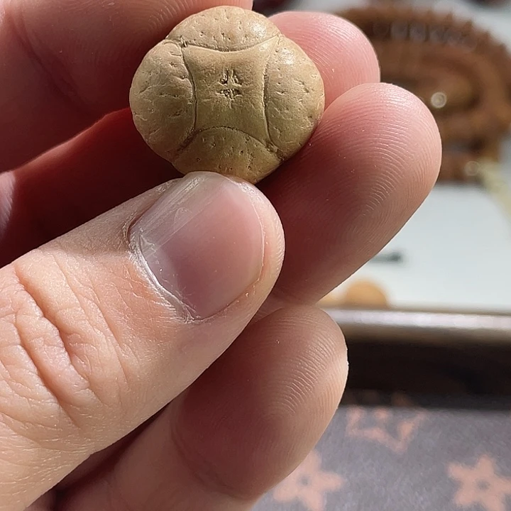 吊坠凤眼菩提尼泊尔小凤眼