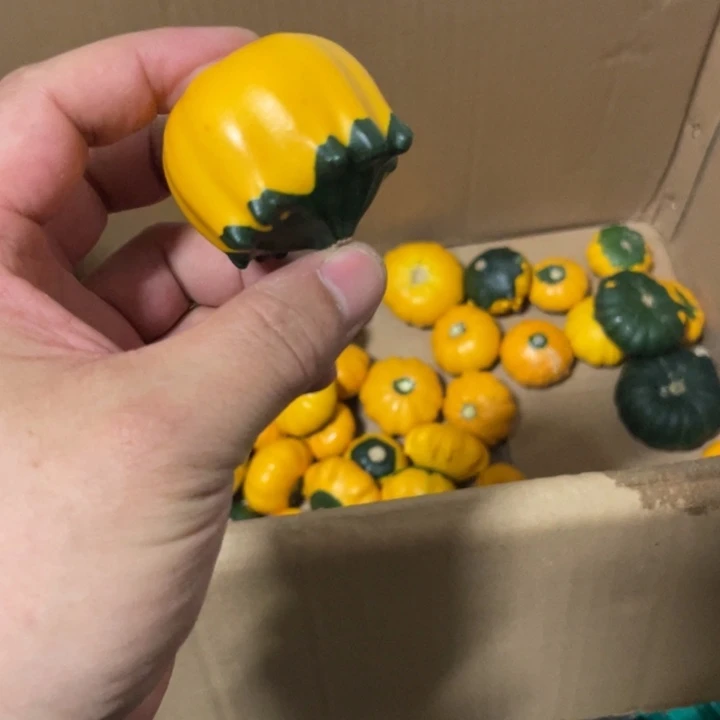 小*米25598886666656666666