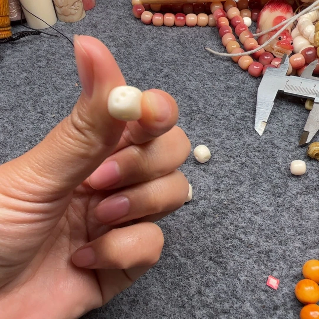 鹿骨其他人工养殖驼骨32