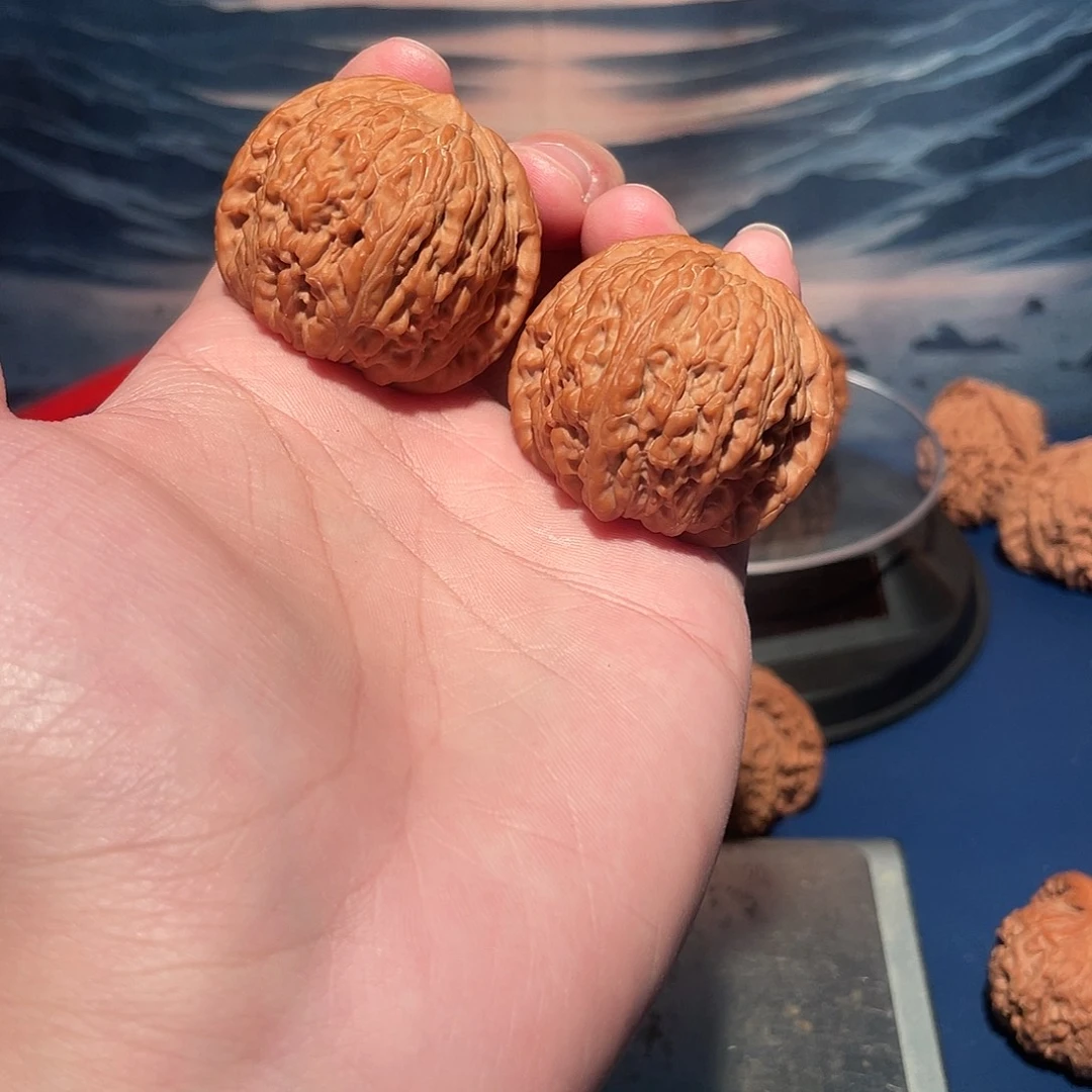 无****核桃41血麒麟hhhh