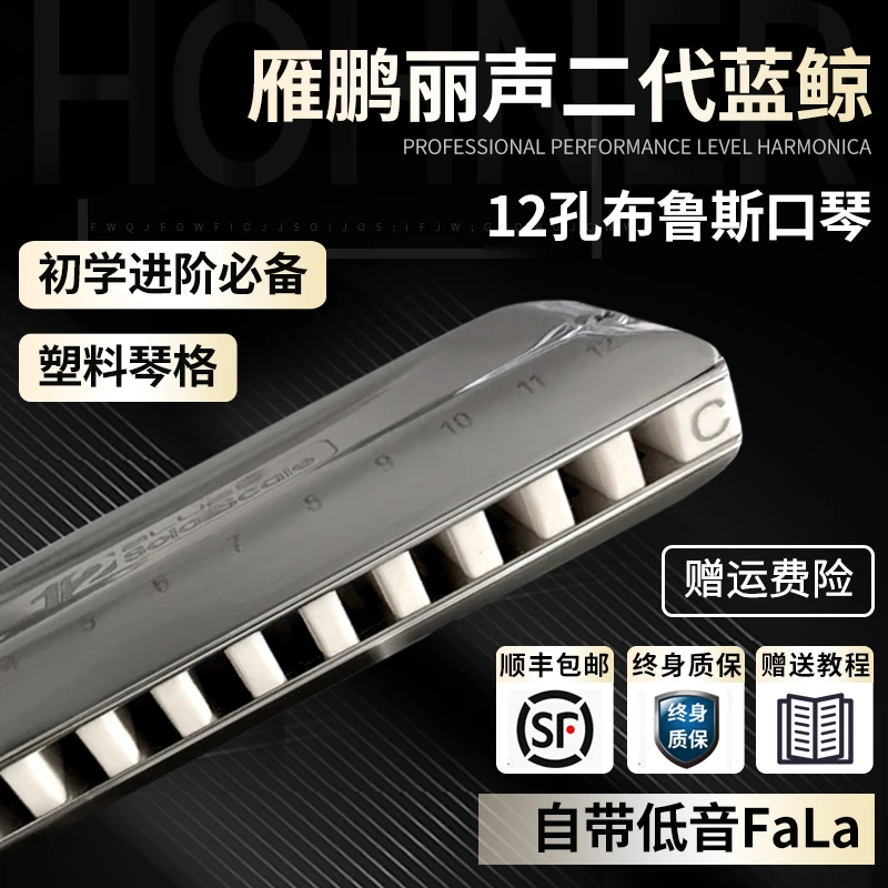 yinpenglisheng/雁鹏丽声12孔新款二代蓝鲸口琴塑料格低音有FALA